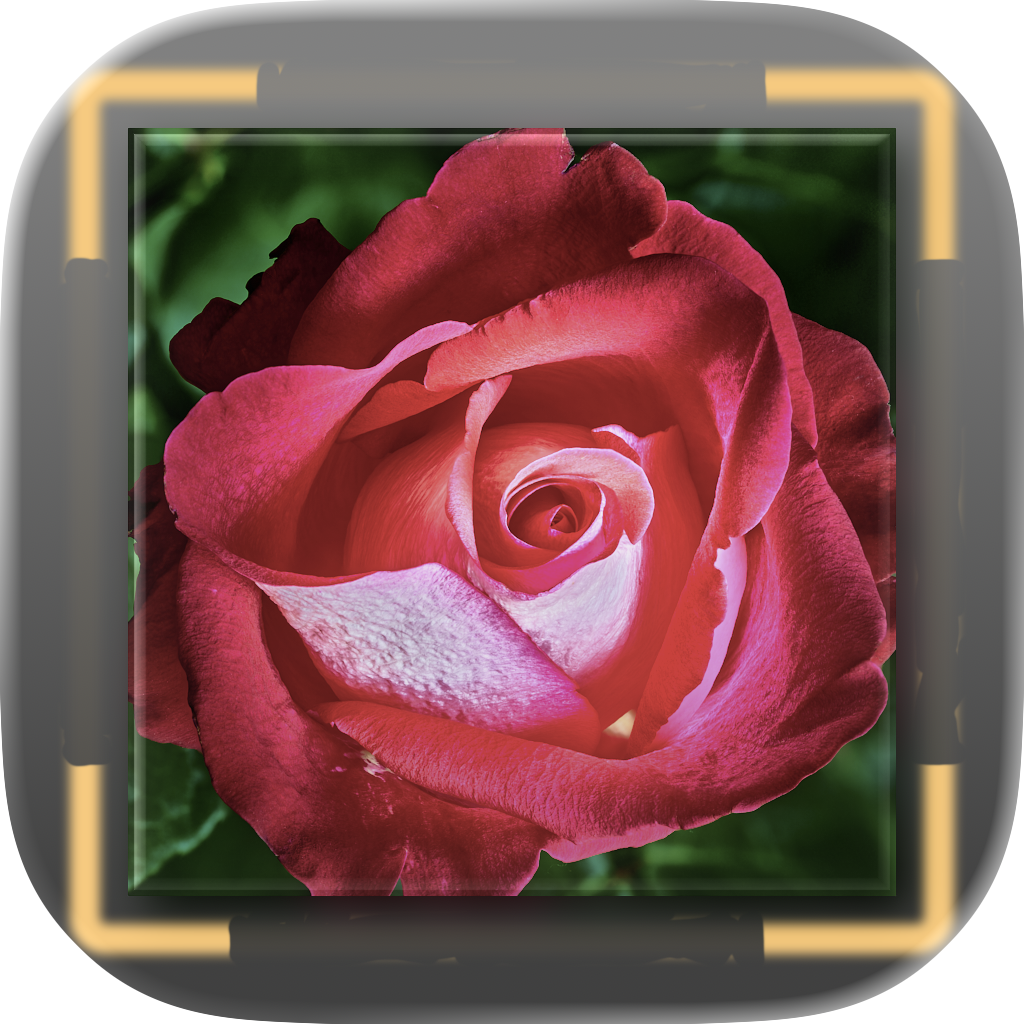 PinARt icon